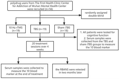 Intermittent theta burst stimulation to the left dorsolateral prefrontal cortex improves cognitive function in polydrug use disorder patients: a randomized controlled trial